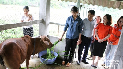นุ้ยเผ่าสร้างอาชีพยั่งยืนให้กลุ่มชาติพันธุ์น้อย