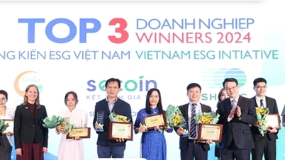 SHINEC: Đồng hành vì tăng trưởng xanh bền vững