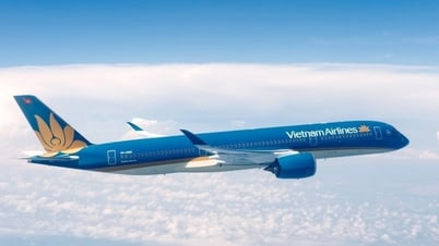 Lãnh đạo Vietnam Airlines: Mua thêm 50 tàu bay là nhu cầu cấp thiết