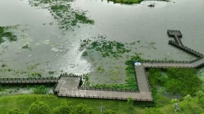 Wie kann ein Fischerdorf jährlich mehr als 300.000 Besucher anziehen?