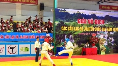 Bac Giang gewann 2 Goldmedaillen bei der Nationalen Jujitsu-Clubmeisterschaft 2025 – Newsdetails