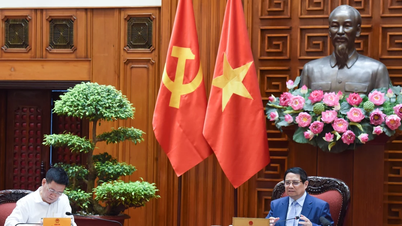 [Ảnh] Thủ tướng Phạm Minh Chính họp về chuẩn bị đàm phán với Hoa Kỳ