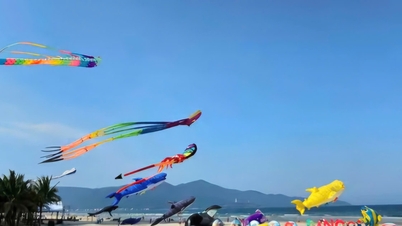 Da Nang opens 2025 beach tourism season