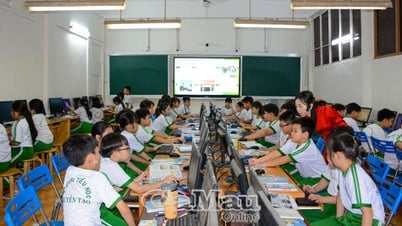 Ca Mau education grows from hardship
