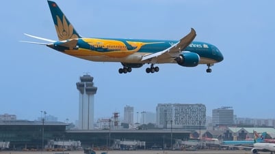 Grundsätzliche Zustimmung zum Kauf von 50 Schmalrumpfflugzeugen durch Vietnam Airlines