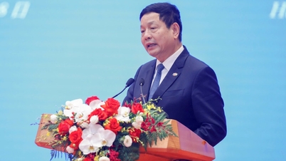 Thắt chặt hơn nữa hợp tác nhân lực tài năng Việt Nam - Nhật Bản