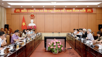 Đoàn chuyên gia Mạng lưới công viên địa chất toàn cầu làm việc với Thường trực UBND tỉnh