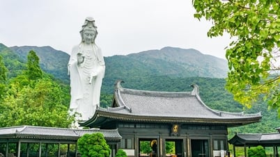 Tsz Shan Monastery - a place of meditation in the mountains and forests