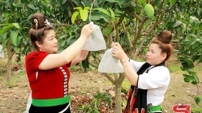Proactively plan consumption and export of agricultural products