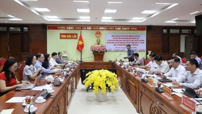 ត្រួតពិនិត្យការអនុវត្តគោលនយោបាយ និងច្បាប់ស្តីពីការអភិវឌ្ឍន៍ និងប្រើប្រាស់ធនធានមនុស្សក្នុងខេត្ត Dak Lak ។