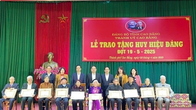 គណៈកម្មាធិការ​បក្ស​ក្រុង​បាន​ប្រគល់​ផ្លាក​សញ្ញា​គណបក្ស​ដល់​សមាជិក​បក្ស​ចំនួន ១៦៨​នាក់។