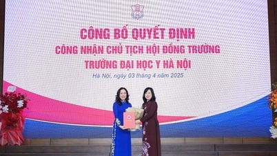 Die Medizinische Universität Hanoi hat einen neuen Vorsitzenden des Universitätsrats