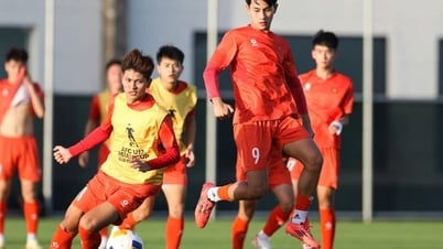 نجم منتخب فيتنام تحت 17 سنة يدلي بتصريح صادم في المباراة الافتتاحية لتصفيات كأس العالم