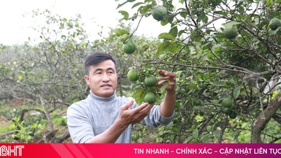 Mejorar el conocimiento de la nueva construcción rural para el pueblo Huong Son