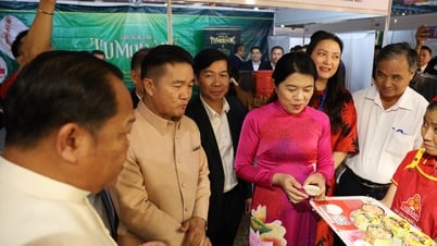Promover la cooperación entre la Ciudad. Ho Chi Minh y provincias de Laos