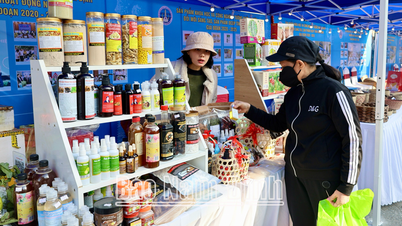 Promote the application and management of product and goods traceability systems