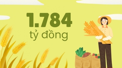 1.784 tỷ đồng - là ước tính doanh thu sản phẩm cây trồng vụ đông toàn tỉnh
