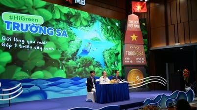 Запуск программы по посадке миллиона деревьев для любимого Труонг Са