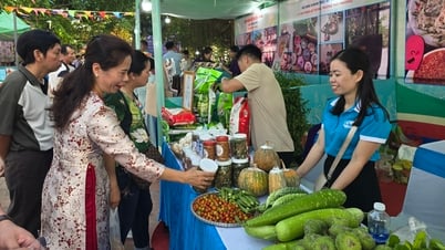 ពិធីបើក “មហោស្រពផ្សារជនបទ” និង “នាំទំនិញវៀតណាមទៅកាន់ជនបទ”