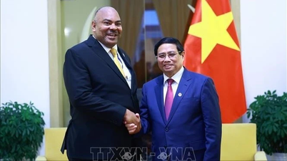 នាយករដ្ឋមន្ត្រី Pham Minh Chinh ទទួលជួបរដ្ឋមន្ត្រីការបរទេស Tanzania និងសហប្រតិបត្តិការអាហ្វ្រិកខាងកើត