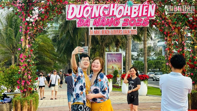 Da Nang eröffnet die Sea Flower Street für Einheimische und Touristen