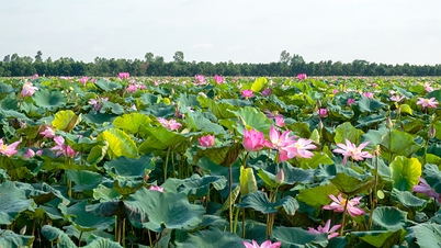 จากใบพายเก่าสู่ใบเรือใหม่