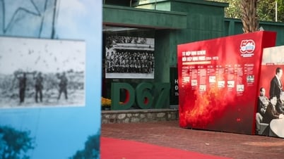 1975年春の一般攻勢 - D67からの重要な秘密命令