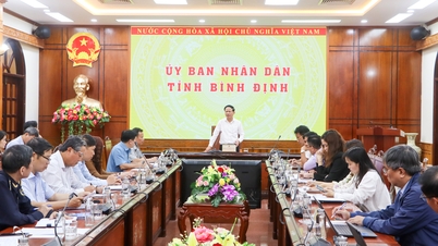 ប្រធានគណៈកម្មាធិការប្រជាជនខេត្ត លោក Pham Anh Tuan ធ្វើការជាមួយមន្ទីរ សាខា អង្គភាពអាជីវកម្ម សមាគម និងឧស្សាហកម្ម ដើម្បីស្វែងរកដំណោះស្រាយយ៉ាងសកម្ម ដើម្បីឆ្លើយតបទៅនឹងពន្ធថ្មីរបស់សហរដ្ឋអាមេរិក។