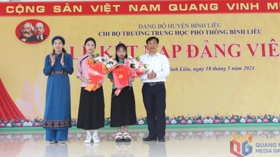 ការអភិវឌ្ឍន៍បក្សនៅតំបន់ជនជាតិភាគតិច