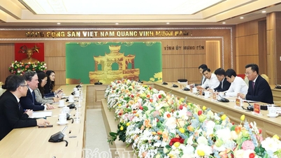 Bí thư Tỉnh ủy Nguyễn Hữu Nghĩa tiếp và làm việc với Đại sứ Hoa Kỳ tại Việt Nam Marc E. Knapper