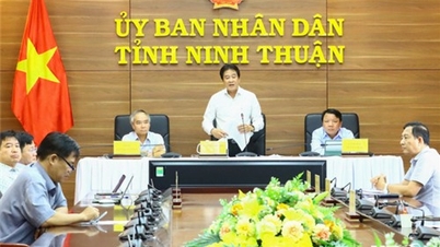 Họp trực tuyến Tổ công tác số 1 của Chính phủ, kiểm tra, đôn đốc, tháo gỡ khó khăn, vướng mắc thúc đẩy giải ngân đầu tư công