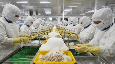 สหรัฐฯ เก็บภาษีเวียดนามถึงร้อยละ 46 จึงจำเป็นต้องเจรจาและลดภาษีนำเข้าสินค้าจากสหรัฐฯ