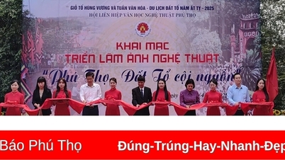 Exposition de 50 photos d'art « Phu Tho »