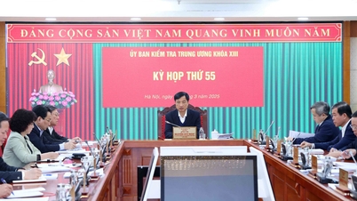 Đề nghị kỷ luật nguyên Phó Thủ tướng Thường trực Trương Hòa Bình