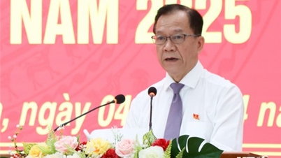 Conference of People's Councils at all provincial levels in 2025