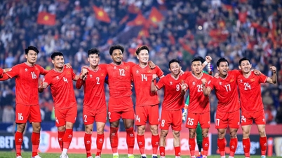 Đội tuyển bóng đá nam Việt Nam tăng 5 bậc trên bảng xếp hạng FIFA, xếp hạng 109 thế giới