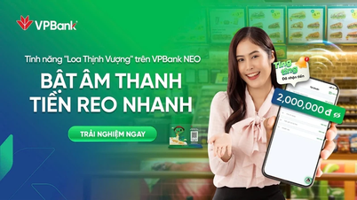 VPBank NEO បើកដំណើរការមុខងារចែករំលែកការប្រែប្រួលតុល្យភាពសម្រាប់បុគ្គលិកហាង