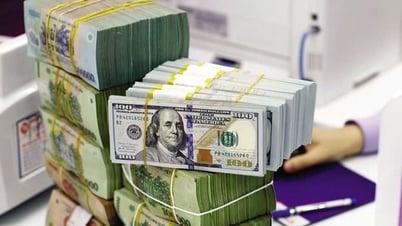 Tỷ giá USD hôm nay 16/05/2025: Tỷ giá 'chợ đen' bật tăng