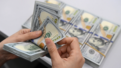 New Tariff Policy: Finding Opportunities in Challenges
