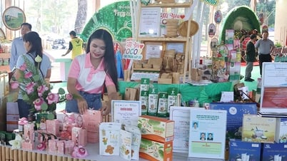 Chương trình OCOP thúc đẩy phát triển kinh tế nông thôn