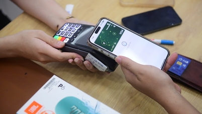 Tìm giải pháp AI cho ngành tài chính - ngân hàng Việt Nam