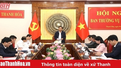 Ban Thường vụ Tỉnh ủy cho ý kiến vào các tờ trình của Đảng ủy UBND tỉnh về điều chỉnh, bổ sung kế hoạch đầu tư công