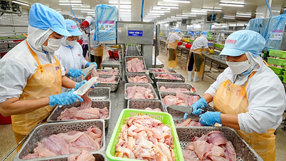สหรัฐฯ เก็บภาษีตอบแทนเวียดนาม 46%: หลายฝ่ายกังวลภายในสหรัฐฯ