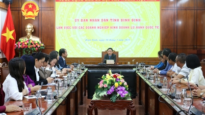 Chủ tịch UBND tỉnh Phạm Anh Tuấn làm việc với các doanh nghiệp kinh doanh lữ hành quốc tế