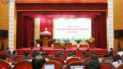 ハロン市党委員会執行委員会第63回会議