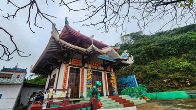 Độc đáo di sản văn hóa phi vật thể: Lễ hội cầu ngư có từ thời Nguyễn