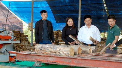 Yên Bình thu ngân sách quý I đạt trên 101,8 tỷ đồng