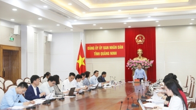 การประชุมคณะกรรมการบริหารพรรคของคณะกรรมการประชาชนจังหวัด