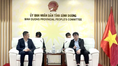 Bình Dương sẵn sàng hợp tác với tỉnh Thanh Hải (Trung Quốc)