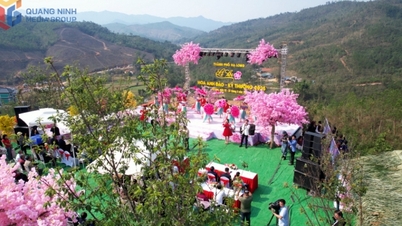 Ha Long highland tourism flourishes